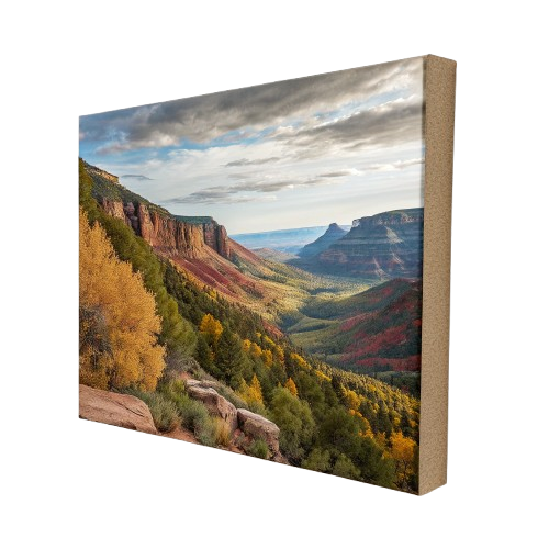 Decorative Art Canvas